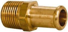 Parker - 3/8 NPT Thread Hose Barb x Male NPT Connector - 1/2" ID Hose, Brass - Best Tool & Supply