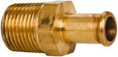 Parker - 1/2 NPT Thread Hose Barb x Male NPT Connector - 1/2" ID Hose, Brass - Best Tool & Supply