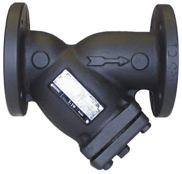 Legend Valve - 2-1/2" Pipe, Flanged Ends, Cast Iron Y-Strainer - 200 psi WOG Rating, 150 psi WSP Rating - Best Tool & Supply