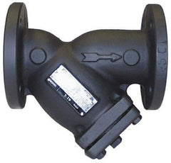 Legend Valve - 2" Pipe, Flanged Ends, Cast Iron Y-Strainer - 200 psi WOG Rating, 150 psi WSP Rating - Best Tool & Supply