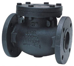 Legend Valve - 2-1/2" Cast Iron Check Valve - Inline, Flanged - Best Tool & Supply