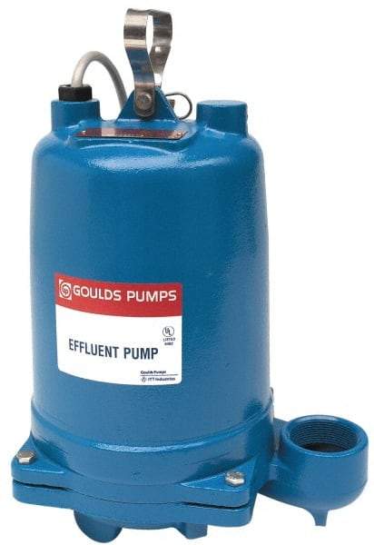 Goulds Pumps - 1/2 hp, 115 Amp Rating, 115 Volts, Capacitor Start Operation, Effluent Pump - 1 Phase, Cast Iron Housing - Best Tool & Supply