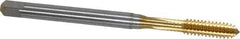 Emuge - #10-24 UNC 2BX Modified Bottoming Thread Forming Tap - Cobalt, TiN Finish, 2.756" OAL, 0.591" Thread Length, Right Hand Thread, Series Rekord Druck-S - Best Tool & Supply