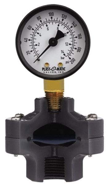 Plast-O-Matic - 30 Max psi, 2 Inch Dial Diameter, PVC Pressure Gauge Guard and Isolator - 3% Accuracy - Best Tool & Supply