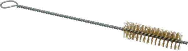 PRO-SOURCE - 2-1/2" Long x 3/4" Diam Brass Twisted Wire Bristle Brush - Single Spiral, 9" OAL, 0.008" Wire Diam, 0.142" Shank Diam - Best Tool & Supply