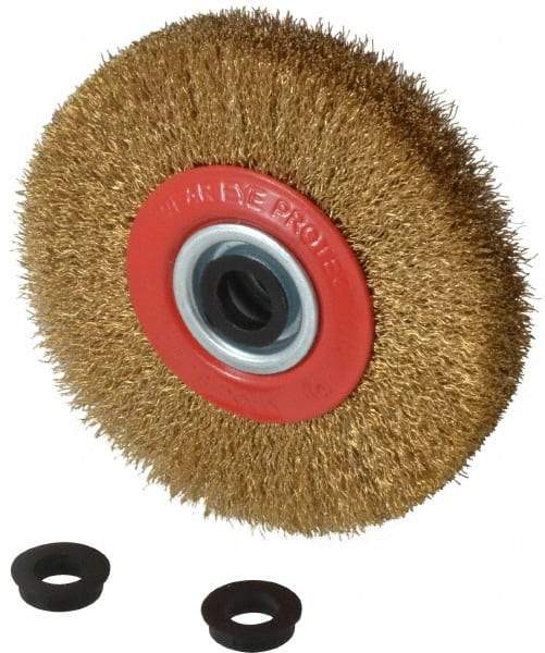 Value Collection - 5" OD, 3/4" Arbor Hole, Crimped Brass-Coated Steel Wheel Brush - 1" Face Width, 1-3/32" Trim Length, 0.012" Filament Diam, 6,000 RPM - Best Tool & Supply