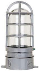 Cooper Crouse-Hinds - 120 Volt, 100 Watt, Incandescent Hazardous Location Light Fixture - Vaporproof, Corrosion & Heat Resistant, Aluminum Housing, 4-1/4" Wide x 8-7/8" High - Best Tool & Supply