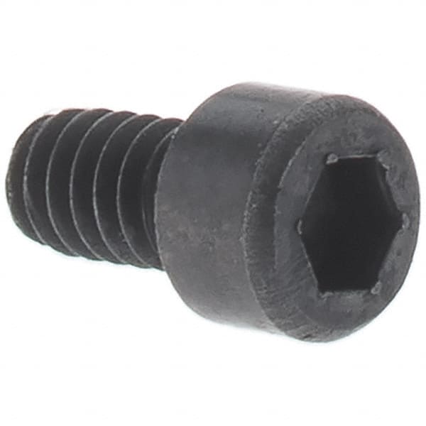 Hex Head Cap Screw: M8 x 1.25 x 25 mm, Grade 12.9 Alloy Steel, Black Oxide Finish Fully Threaded, 6 mm Hex, ISO 4762