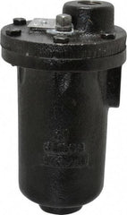 Hoffman Speciality - 3/4" NPT Inlet, 1/2" NPT Outlet, 250 Max psi, Cast Iron Water Vent - 350 Max Hydrostatic psi, 300°F Max - Best Tool & Supply