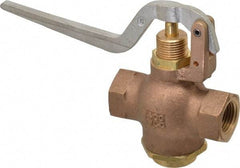 Kingston - 1/2" Pipe, 400 Max psi, Buna N Disc, Self Closing Control Valve - Squeeze Lever, FNPT x FNPT End Connections - Best Tool & Supply