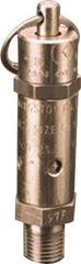 Kingston - 1/4" Inlet, ASME Safety Relief Valve - 50 Max psi, Stainless Steel - Best Tool & Supply