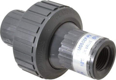 Plast-O-Matic - 1/2" PVC Check Valve - Inline, FNPT x FNPT, 150 WOG - Best Tool & Supply