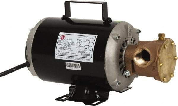 Jabsco - 1 Inch Inlet, 3/4 Hp, 23 Max GPM, Flexible Impeller Pump - 115/230 Volts, Nitrile Impeller - Best Tool & Supply