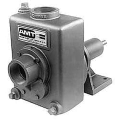 American Machine & Tool - 2 Inch Outlet, Cast Iron, Pedestal Mount Pump - F.G. Casing Seal, Pedestal Pump - Best Tool & Supply