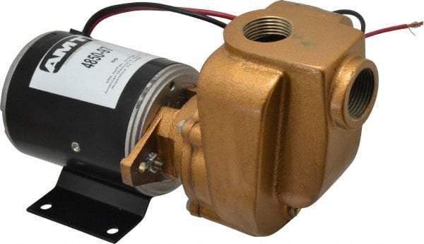 American Machine & Tool - 12 Volt, 1/8 hp, 3/4 Inlet, Bronze Utility Pump - 14 Max Head Pressure, 3/4 Inch Outlet - Best Tool & Supply