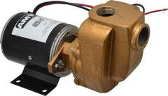 American Machine & Tool - 12 Volt, 1/8 hp, 3/4 Inlet, Bronze Utility Pump - 14 Max Head Pressure, 3/4 Inch Outlet - Best Tool & Supply