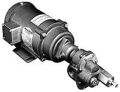 Pentair - 17-1/2 Inch Long, Close Coupled-Mount Gear Close Coupled Mount Gear Pump - ODP, 7 Max GPM - Best Tool & Supply