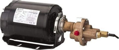 Pentair - 1/2 hp, 3/8 Port, -40 to 210°F Fluid Temp, Carbonator Gear Pump - Bronze, 3/8 Inlet Size, 4.25 GPM, NPT - Best Tool & Supply