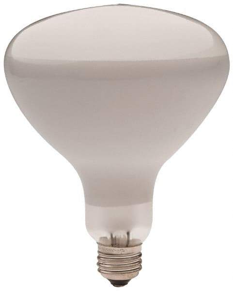 Philips - 300 Watt Incandescent Flood/Spot Medium Screw Lamp - 2,700°K Color Temp, 2,960 Lumens, 12 Volts, Dimmable, R40, 2,000 hr Avg Life - Best Tool & Supply