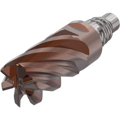 Corner Radius & Corner Chamfer End Mill Heads; Mill Diameter (mm): 10.00; Mill Diameter (Decimal Inch): 0.3937; Length of Cut (mm): 15.0000; Connection Type: E10; Overall Length (mm): 33.0000; Centercutting: Yes; Corner Radius (mm): 1.00; Minimum Helix An