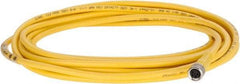 Brad Harrison - 3 Amp, M8 Female Straight to Pigtail Cordset Sensor and Receptacle - 60 VAC, 75 VDC, 4m Cable Length, IP68 Ingress Rating - Best Tool & Supply