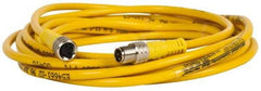 Brad Harrison - 4 Amp, M8 Male Straight to Female Straight Cordset Sensor and Receptacle - 60 VAC, 75 VDC, 4m Cable Length, IP68 Ingress Rating - Best Tool & Supply