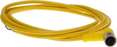 Brad Harrison - 4 Amp, M12 Female 90° to Pigtail Cordset Sensor and Receptacle - 250 VAC/VDC, 2m Cable Length, IP67 Ingress Rating - Best Tool & Supply