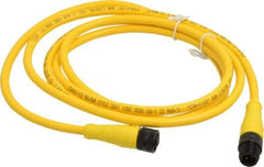 Brad Harrison - Female to Male Cordset Sensor and Receptacle - 250 VAC/VDC, 6 Ft. Long Cable, IP68 Ingress Rating - Best Tool & Supply