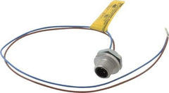 Brad Harrison - 4 Amp, 1/2-20 UNF Male Straight Receptacle - 250 VAC/VDC, 0.31m Cable Length, IP67 Ingress Rating - Best Tool & Supply