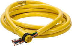 Brad Harrison - 7 Amp, Male Straight to Pigtail Cordset Sensor and Receptacle - 600 Volt, 3.66m Cable Length, IP67 Ingress Rating - Best Tool & Supply