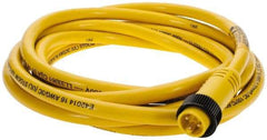 Brad Harrison - 13 Amp, Male Straight to Pigtail Cordset Sensor and Receptacle - 600 Volt, 3.66m Cable Length, IP67 Ingress Rating - Best Tool & Supply