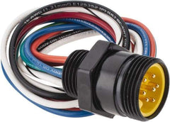 Brad Harrison - 8 Amp, Male Straight Receptacle - 600 VAC/VDC, 0.31m Cable Length, IP67 Ingress Rating - Best Tool & Supply