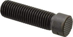 Fairlane - Serrated Tooth, 3/4-10, 5/16" Internal Hex, 2-1/2" Shank Length, 2-1/2" Thread Length, Black Oxide Finish, Round Head, Adjustable Positioning Gripper - 3/4" Pad Diam, 7/8" Hex, 1/4" Head Height, Extra Fine Tooth Grade - Best Tool & Supply