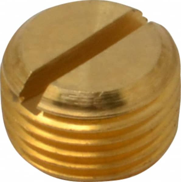 Industrial Pipe Slotted Plug: 1/8″ Male Thread, MNPTF 1,200 Max psi