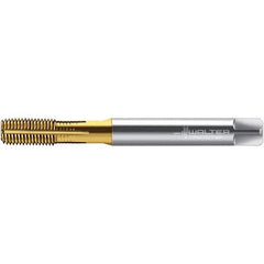 Walter-Prototyp - M10x1.50 DIN 2174 6HX 9.370 Thread Limit Semi-Bottoming Thread Forming Tap - Powdered Metal High Speed Steel, TiN Finish, 100mm OAL, 15mm Thread Length, Right Hand Thread, Series TC420 - Best Tool & Supply