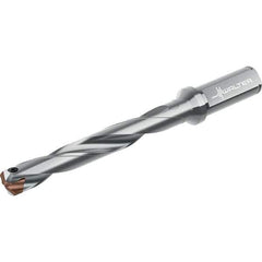 Walter - Replaceable-Tip Drills Series: D4140 Minimum Drill Diameter (mm): 19.00 - Best Tool & Supply