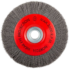 Norton - 10" OD, 3/4" Arbor Hole, Crimped Carbon Wheel Brush - Best Tool & Supply