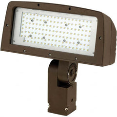 Hubbell Lighting - Floodlight Fixtures Mounting Type: Knuckle Mount Housing Color: Bronze - Best Tool & Supply