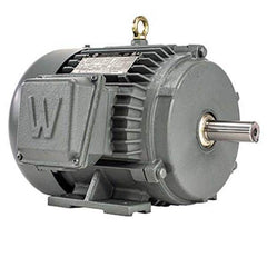 Worldwide Electric - Electric AC/DC Motors Motor Type: Premium Efficient Type of Enclosure: TEFC - Best Tool & Supply