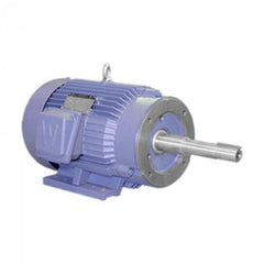 Worldwide Electric - Electric AC/DC Motors Motor Type: Premium Efficient Type of Enclosure: TEFC - Best Tool & Supply