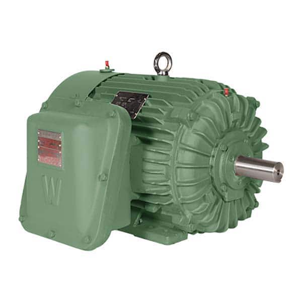 Worldwide Electric - Explosion Proof Motors NEMA Frame: 365T Horsepower: 75 - Best Tool & Supply