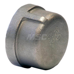 Pipe Cap: 1/8″ Fitting, 304 Stainless Steel FNPT, Threaded, 150 psi