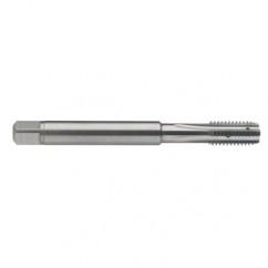 M5 x 0.8 Dia. - 6H - 4 FL - Carbide Semi-Bott Tap - Bright Finish-Coolant-Thru-FORM-C - Best Tool & Supply