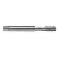 M10 x 1.5 Dia. - 6H - 4 FL - Carbide Semi-Bott Tap - Bright Finish-Coolant-Thru-FORM-C - Best Tool & Supply