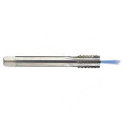 M12 x 1.75 Dia. - 6H - 4 FL - Carbide Semi-Bott Tap - Bright Finish-Coolant-Thru-FORM-C - Best Tool & Supply