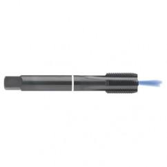 M12 x 1.75 Dia. - 6H - 4 FLX - Cobalt Semi-Bott White Ring Tap - Blk-Ox-Coolant-FORM-C - Best Tool & Supply