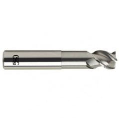 1 Dia. x 6 Overall Length 3-Flute .060 C/R Solid Carbide SE End Mill-Round Shank-Center Cutting-Uncoated - Best Tool & Supply