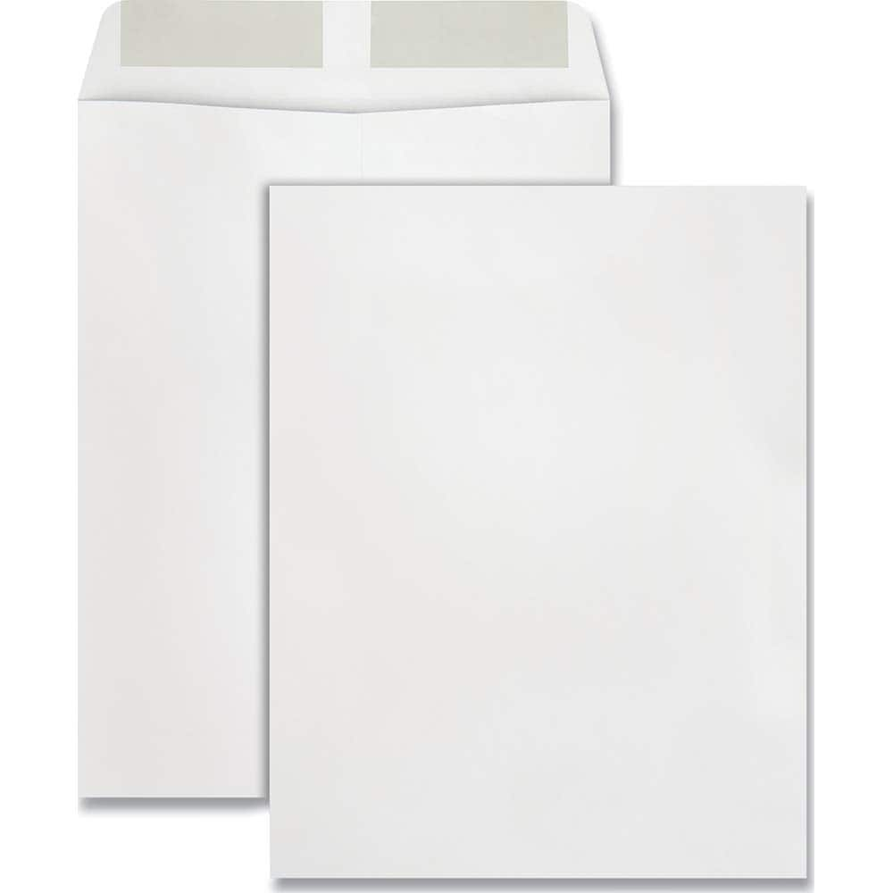 Quality Park - Mailers, Sheets & Envelopes; Type: Catalog Envelope ; Style: Gummed Flap ; Width (Inch): 13 ; Length (Inch): 10 ; Box Quantity: 250 ; Size: 10 x 13 - Exact Industrial Supply