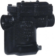 Hoffman Speciality - 2 Port, 1/2" Pipe, Stainless Steel Inverted Bucket Steam Trap - 125 Max psi - Best Tool & Supply