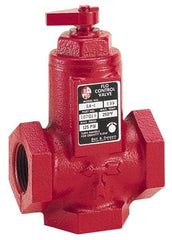 Bell & Gossett - 3/4" Pipe, Cast Iron Manually Operated Plumbing Valve - Buna Seal, FNPT - Best Tool & Supply